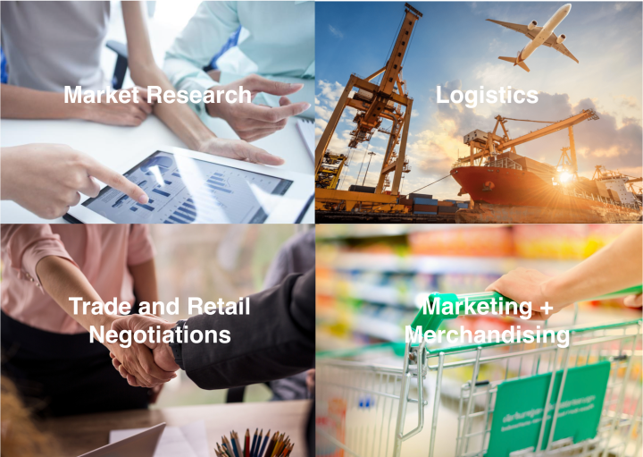 Screen Shot 2018-01-30 at 1.13.08 PM